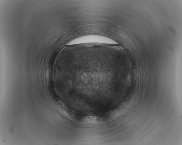 X0000112460227200908311336