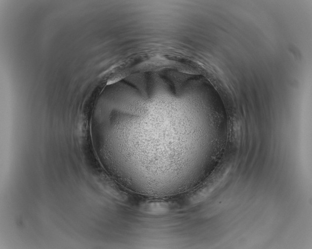 X0000112460228200908311336