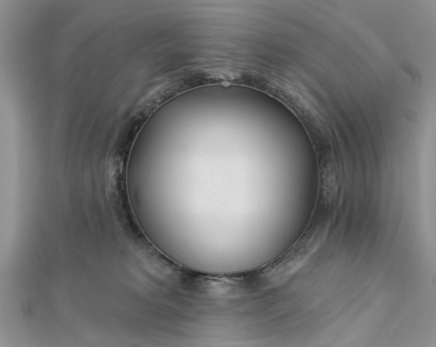 X0000112460229200908311336