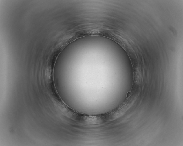 X0000112460230200908311336