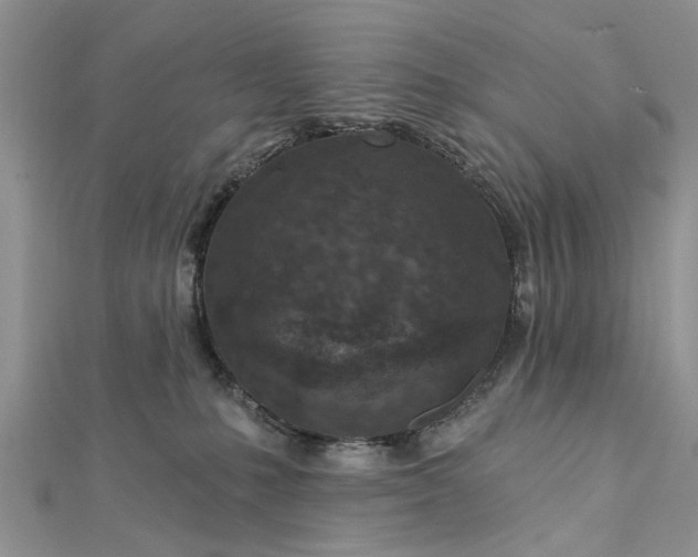 X0000112460231200908311336