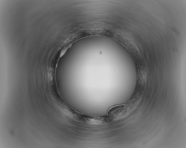 X0000112460232200908311336