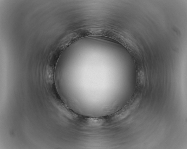 X0000112460234200908311336