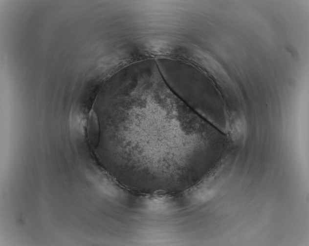 X0000112460235200908311335