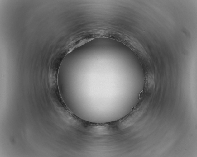 X0000112460236200908311335