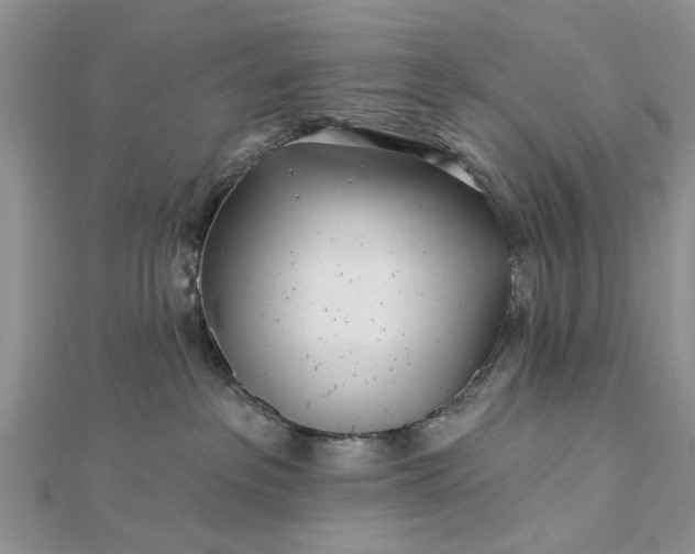 X0000112460237200908311335