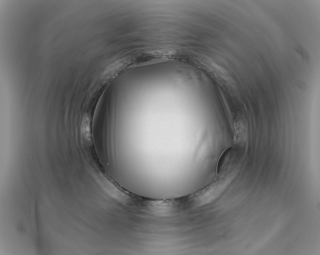 X0000112460238200908311335