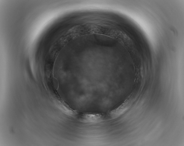 X0000112460239200908311335