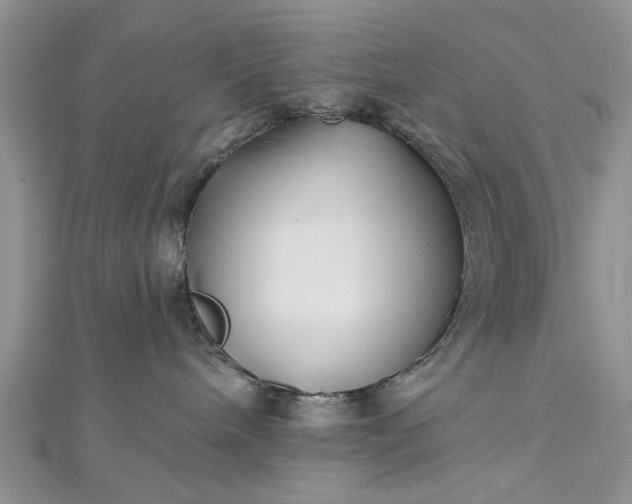 X0000112460240200908311335