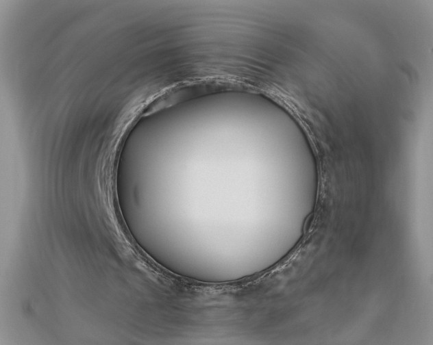 X0000112460241200908311335