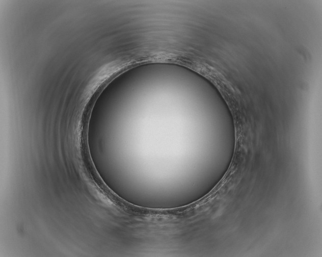 X0000112460242200908311335