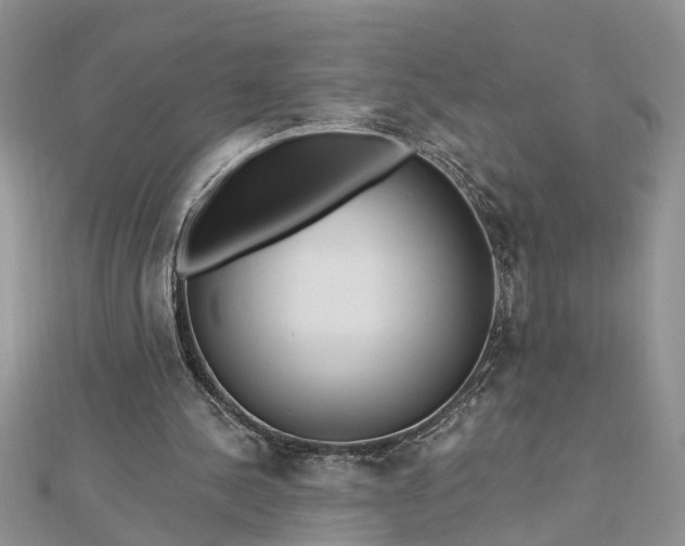 X0000112460244200908311335