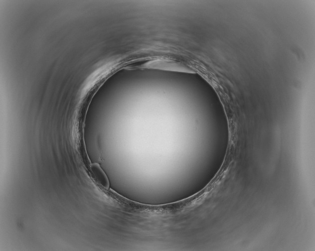 X0000112460245200908311335