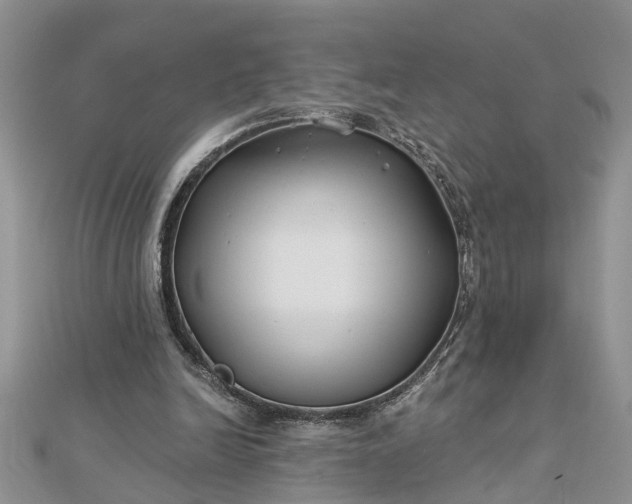 X0000112460246200908311335