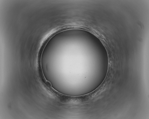 X0000112460248200908311335