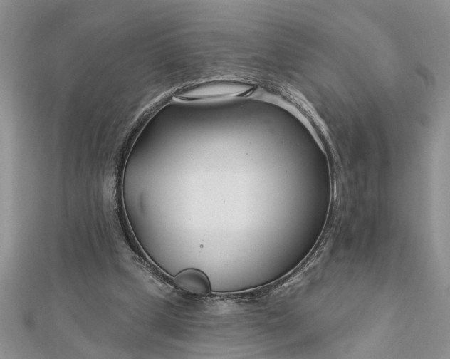 X0000112460249200908311335