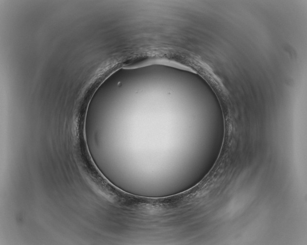 X0000112460250200908311335