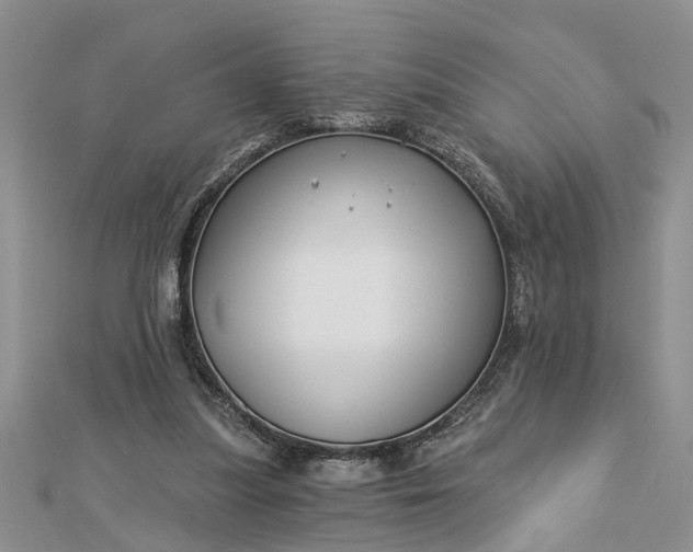 X0000112460251200908311335