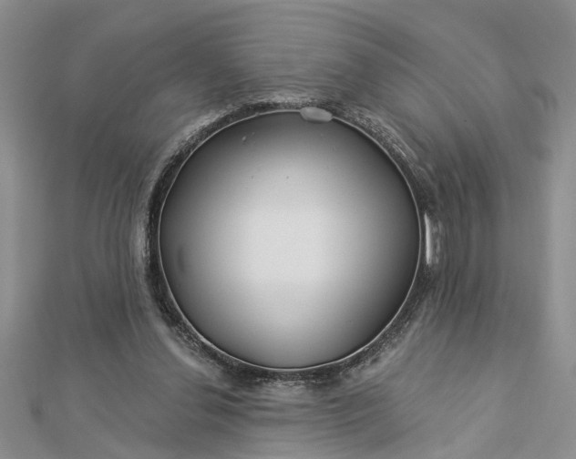 X0000112460252200908311335