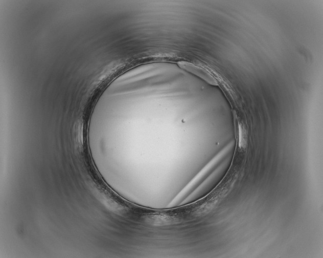 X0000112460253200908311335