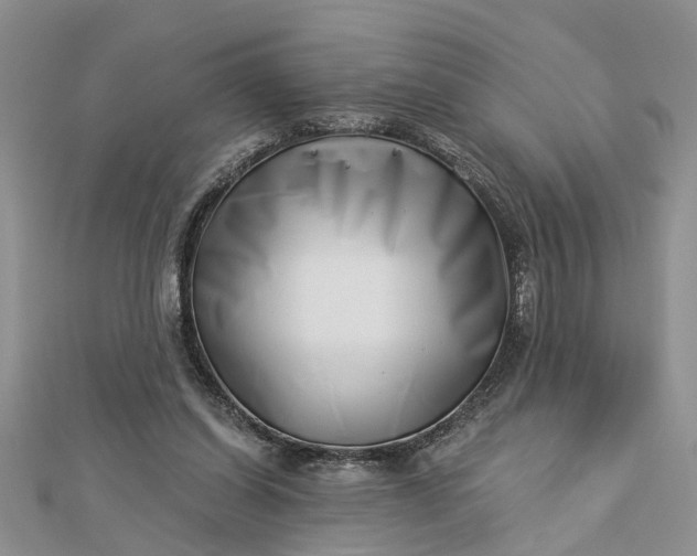 X0000112460254200908311335