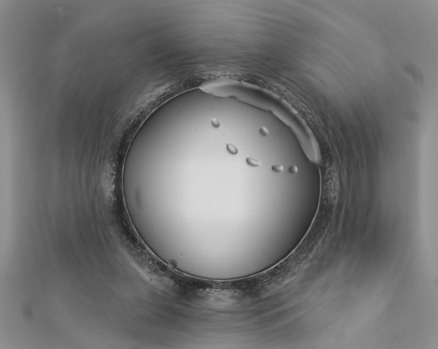 X0000112460255200908311335