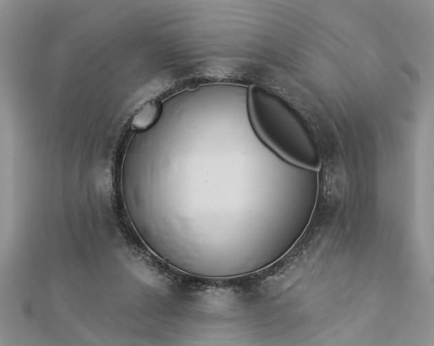 X0000112460256200908311335