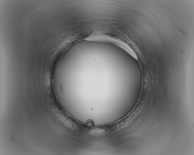 X0000112460257200908311335