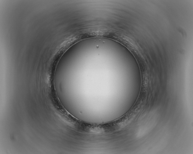 X0000112460258200908311335