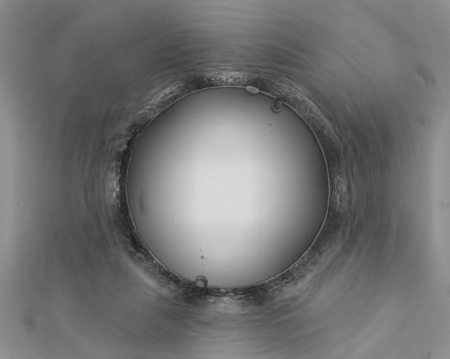 X0000112460259200908311335