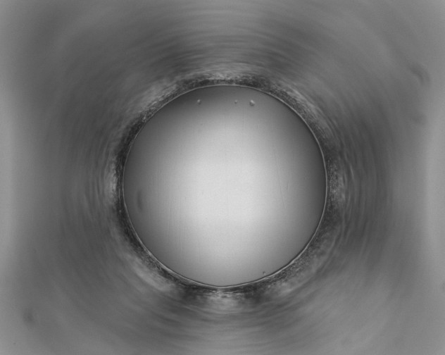 X0000112460261200908311335