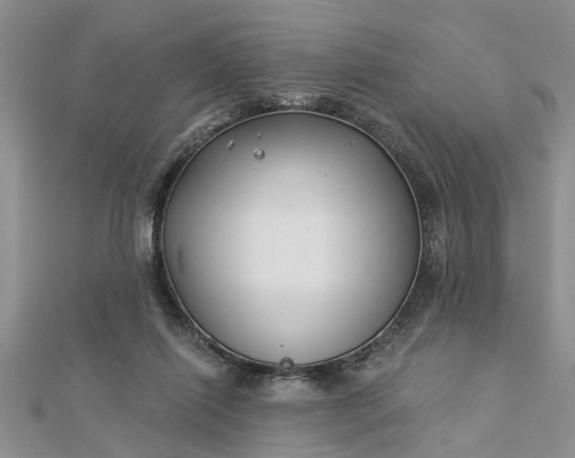 X0000112460262200908311335