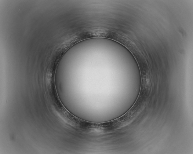 X0000112460263200908311335