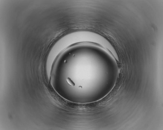 X0000112460264200908311335