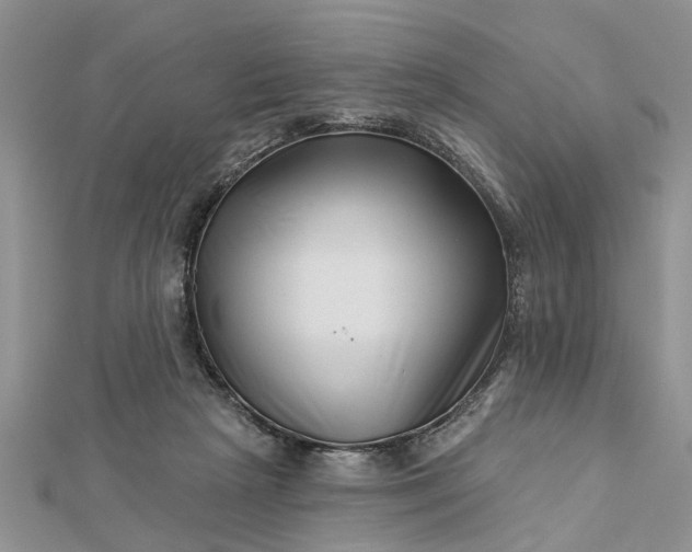 X0000112460265200908311335