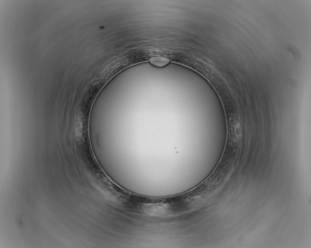 X0000112460266200908311335