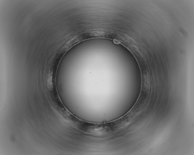 X0000112460267200908311335