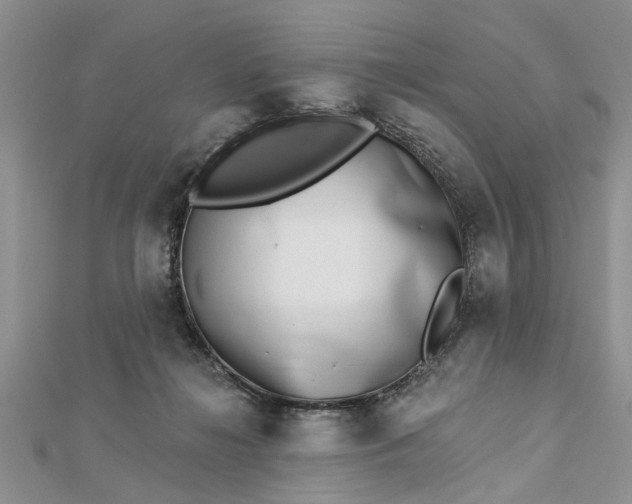 X0000112460268200908311335