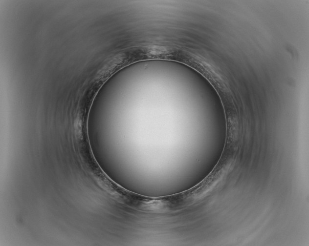 X0000112460269200908311335