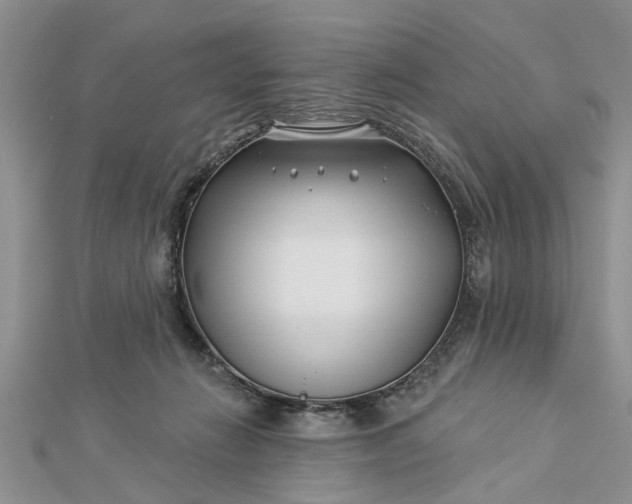 X0000112460270200908311335