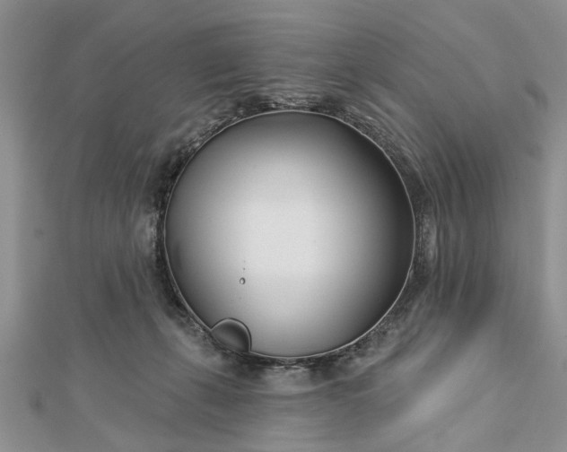 X0000112460271200908311335