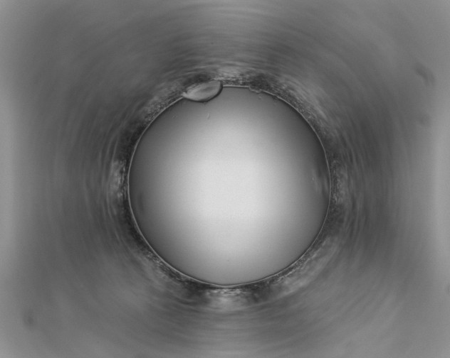 X0000112460273200908311335