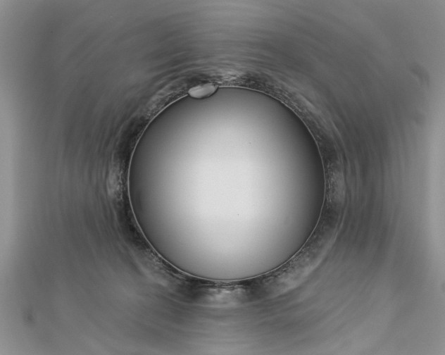 X0000112460274200908311335