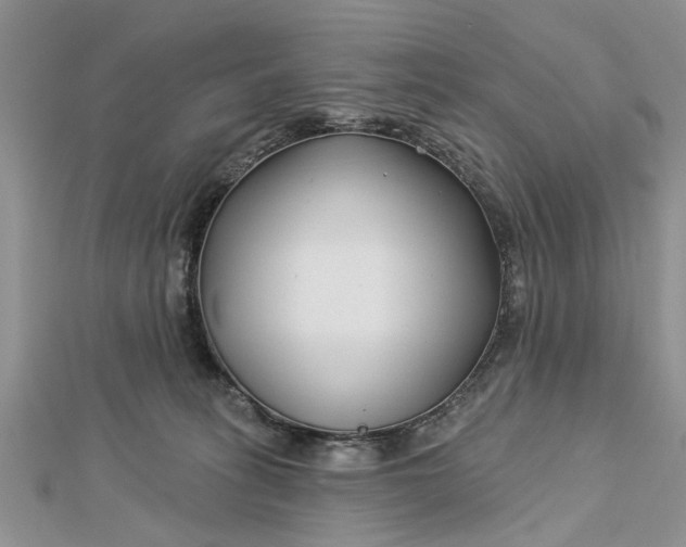 X0000112460275200908311335