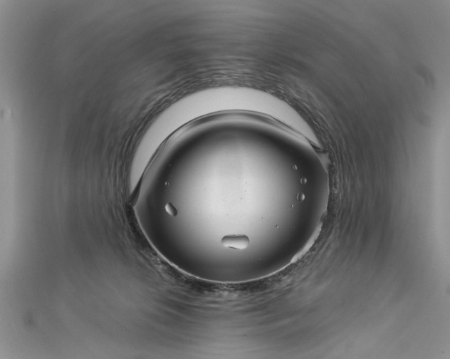 X0000112460276200908311335