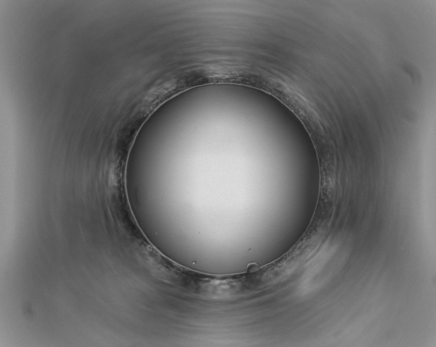 X0000112460277200908311335