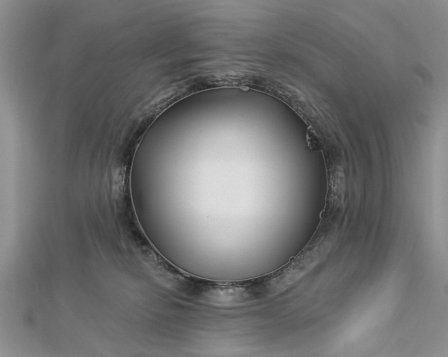 X0000112460278200908311335