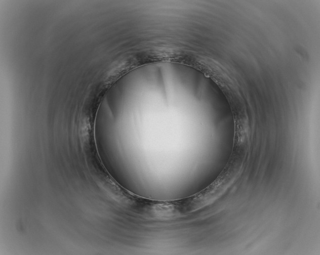 X0000112460279200908311335