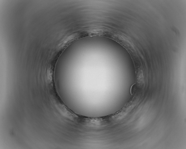 X0000112460282200908311335