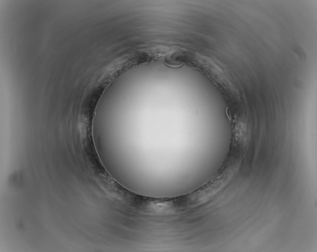 X0000112460283200908311335